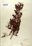000083174-thumbnail.jpg