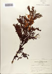 000083176-thumbnail.jpg