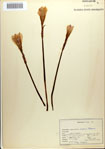 000083577-thumbnail.jpg
