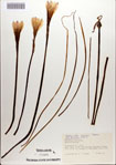 000083578-thumbnail.jpg