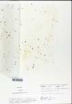 TTRS_000001202-thumbnail.jpg