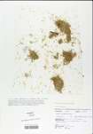 TTRS_000001206-thumbnail.jpg
