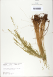 TTRS_000002719-thumbnail.jpg