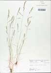 TTRS_000002720-thumbnail.jpg