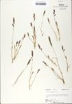 TTRS_000002722-thumbnail.jpg
