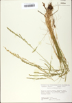 TTRS_000002723-thumbnail.jpg