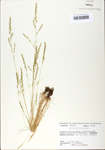 TTRS_000002724-thumbnail.jpg