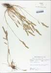 TTRS_000002725-thumbnail.jpg