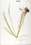 TTRS_000002730-thumbnail.jpg