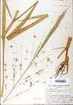 TTRS_000002732-thumbnail.jpg