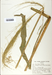 TTRS_000002733-thumbnail.jpg