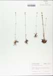 TTRS_000002879-thumbnail.jpg