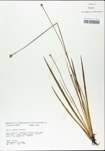 TTRS_000002885-thumbnail.jpg