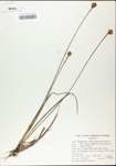TTRS_000002887-thumbnail.jpg