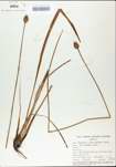 TTRS_000002901-thumbnail.jpg