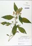 TTRS_000002960-thumbnail.jpg