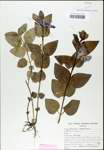 TTRS_000003043-thumbnail.jpg