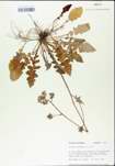TTRS_000004777-thumbnail.jpg