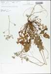TTRS_000004778-thumbnail.jpg