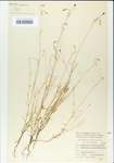 TTRS_000004953-thumbnail.jpg