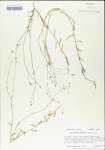 TTRS_000004956-thumbnail.jpg