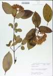 TTRS_000004990-thumbnail.jpg