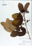 TTRS_000004991-thumbnail.jpg
