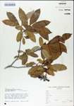 TTRS_000004994-thumbnail.jpg