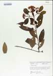 TTRS_000004996-thumbnail.jpg