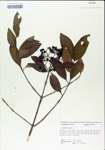 TTRS_000004997-thumbnail.jpg