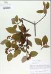 TTRS_000004998-thumbnail.jpg