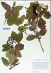 TTRS_000005001-thumbnail.jpg