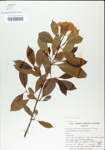 TTRS_000005002-thumbnail.jpg
