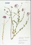 TTRS_000005374-thumbnail.jpg