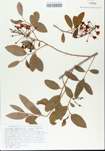 TTRS_000005689-thumbnail.jpg