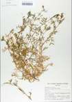 TTRS_000006510-thumbnail.jpg