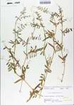 TTRS_000006511-thumbnail.jpg