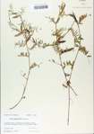 TTRS_000006513-thumbnail.jpg