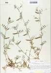 TTRS_000006514-thumbnail.jpg