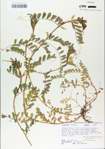 TTRS_000006517-thumbnail.jpg