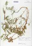 TTRS_000006519-thumbnail.jpg