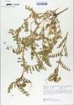 TTRS_000006520-thumbnail.jpg
