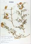 TTRS_000006524-thumbnail.jpg