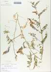 TTRS_000006527-thumbnail.jpg