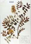 TTRS_000006530-thumbnail.jpg