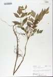 TTRS_000008522-thumbnail.jpg