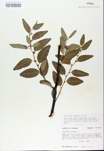 TTRS_000008548-thumbnail.jpg
