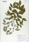 TTRS_000008917-thumbnail.jpg