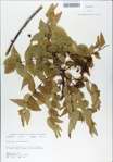 TTRS_000008918-thumbnail.jpg