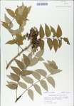 TTRS_000008922-thumbnail.jpg
